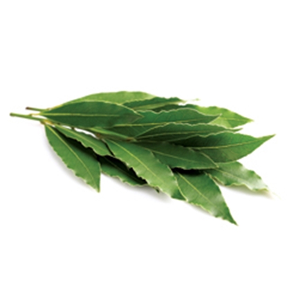 Picture of LAMB BRAND BAY LEAVES 5GR
